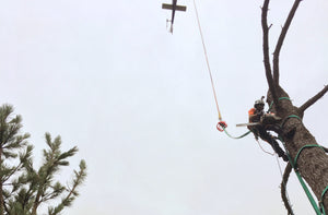HELICOPTER  TREEWORK 101