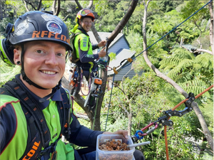 Roger Gilman - Marlborough Tree Care