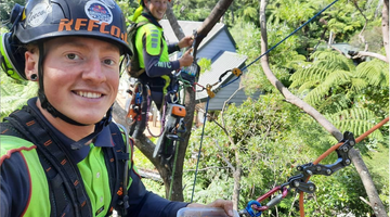 Roger Gilman - Marlborough Tree Care