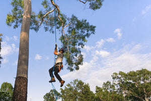 How to Foot Lock up a tree
