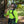 Load image into Gallery viewer, AUDAX™ Gen 2 – Arborist Hydration Harness – Black Orange