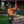 Load image into Gallery viewer, AUDAX™ Gen 2 – Arborist Hydration Harness – Hi-Viz Safety Yellow