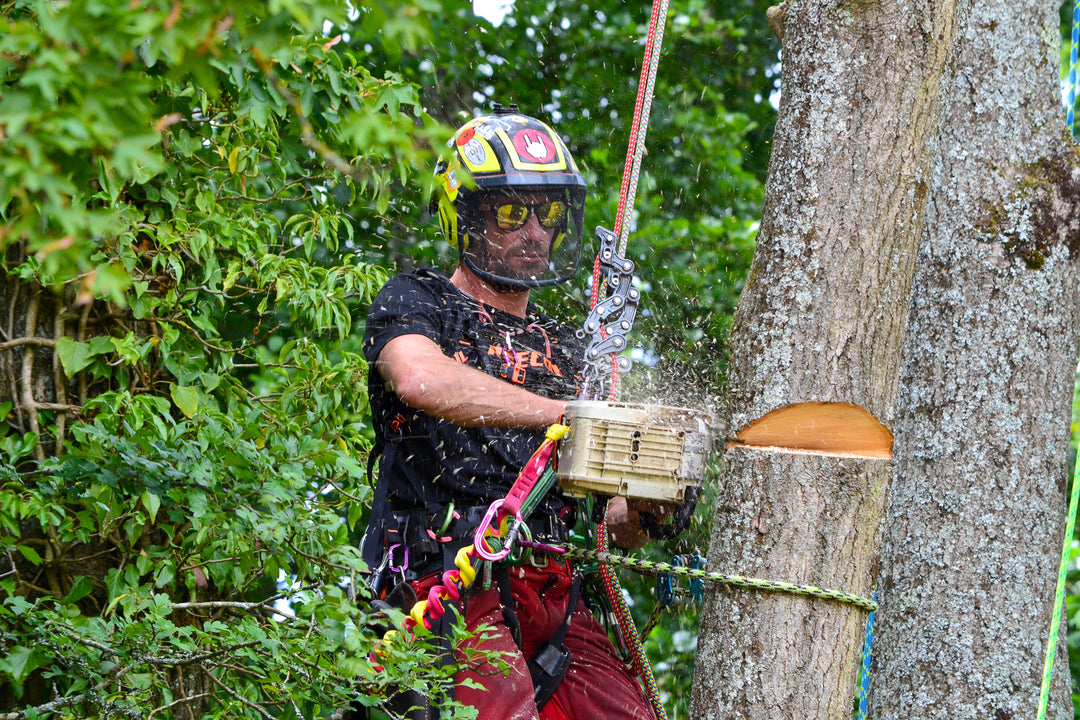 Reecoil x Tree Punk Offspring Lanyard An Innovative Design Collaborat