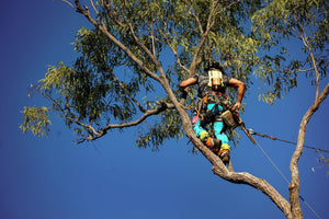 Stay Cool. Stay Visible. Stay Safe: The Ultimate Arborist Gear Setup