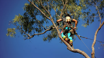 Stay Cool. Stay Visible. Stay Safe: The Ultimate Arborist Gear Setup