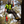 Load image into Gallery viewer, Big-Boss CHAINSAW LANYARD
