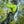 Load image into Gallery viewer, AUDAX™ Gen 2 – Arborist Hydration Harness – Black Orange
