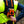 Load image into Gallery viewer, AUDAX™ Gen 2 – Arborist Hydration Harness – Black Orange
