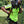 Load image into Gallery viewer, AUDAX™ Gen 2 – Arborist Hydration Harness – Black Orange
